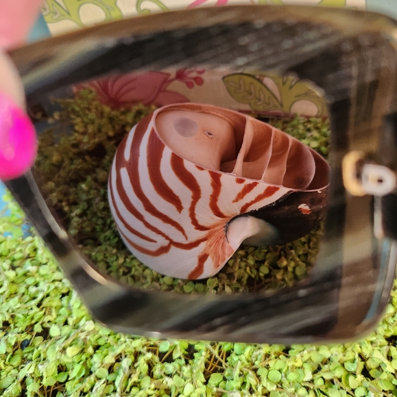 GIORGIO ARMANI Black Grey Striped Vtg Oversized GA 205/S BK6 Logo Sunglasses EUC - Picture 10 of 16